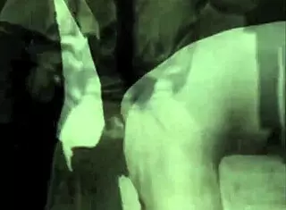 in vintage times, a collection of erotic beaver scenes unfolds