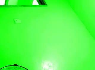 coronavirus quarantine hiding leaked part two