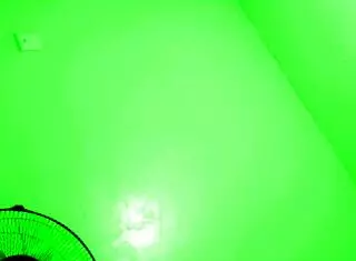 coronavirus quarantine hiding leaked part two