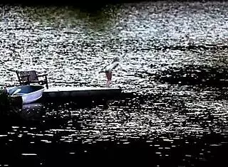 sexy blonde in bikini swimming?