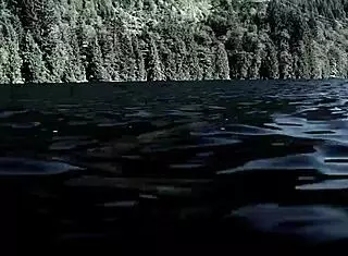 sexy blonde in bikini swimming?