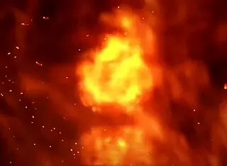 Gozada junina wanted real snake but came with fake one mary jhuana