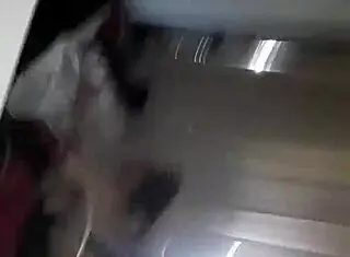 Latina brunette girlfriend enjoys homemade doggy sex with her horny friend.