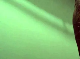 White donkey dick from usa stands out