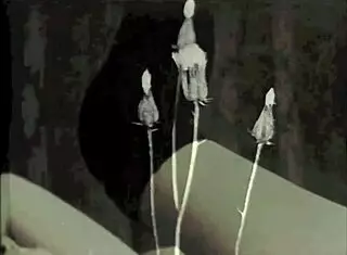 want to see double penetration in vintage london shadows?