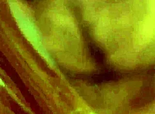 The bitch fucked her boyfriend hard 😈