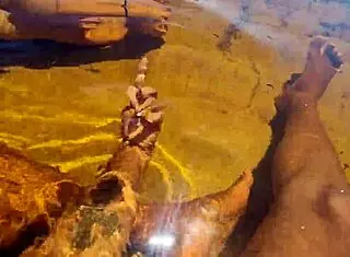 Bruninha Fonseca discovers nudist beach with Joao for the first time