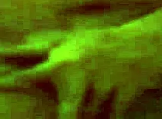 A Beautiful And Cute Penis Is Possible