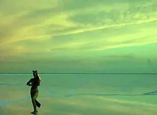 Dancing under pink sky with white salt vibes! 😊