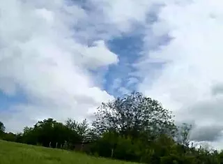 Deep throating pov blowjob in field