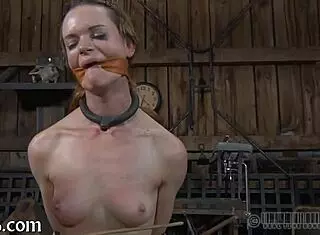 the pornstar engages in sadomasochistic activities with various partners in a dungeon setting