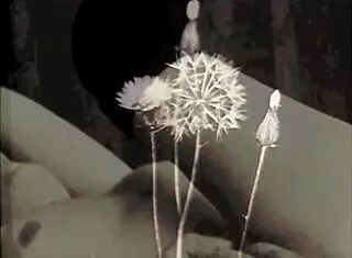 Retro Pornography From Two Centuries