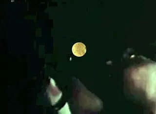 Dark Lantern Presents Vintage Group Sex from Secret Erotic Confessions