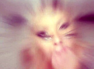 हसीना निना एले ऑफिस में POV लंड चूसना गला दबाओ बॉल चाटो