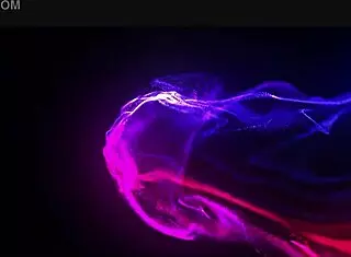 Book Michella Vienna?