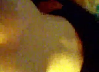 Cleveland Bitches Getting Fucked!