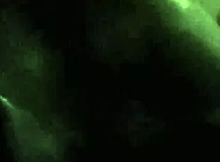 compilation of hotwife tattoo videos in public, part 3