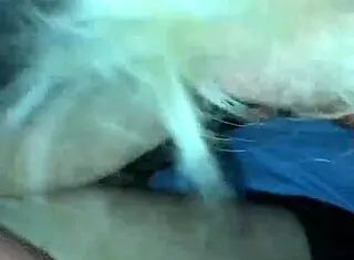 Milf gives best birthday blowjob ever