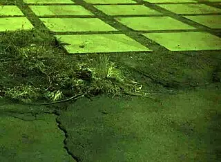 old man beard dominates bound teen unless you're from the sixties 😏