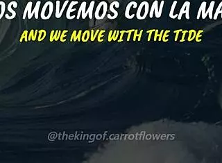 tatsuro yamashita's big wave theme in spanish subtitles