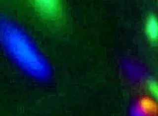 Boobs growth gal cums hard