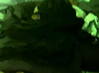 the bold plumber laying that pipe in homemade amateur porn video now