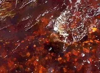 ناتاشا تخلع ملابسها على الطوف بسحر شعرها المنمق!