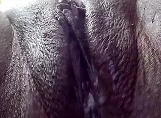 horny latina whore squirts in pov fuck