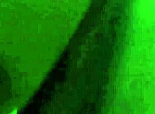 Hotel Sex Secrets Unveiled