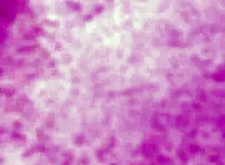 Fucking My Friend Moni In Her Fat Latina Pussy