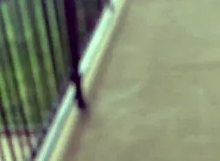 Fucking My Friend Moni In Her Fat Latina Pussy