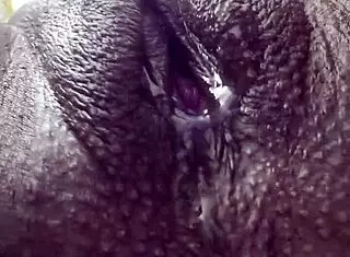 horny latina whore squirts in pov fuck