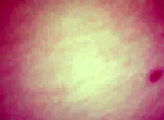 Intense homemade creampie with sexy Linzi