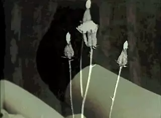 Vintage Interracial Threesome in Porn World