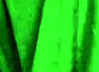 Hot model swallows cum after facial in blowbang scene