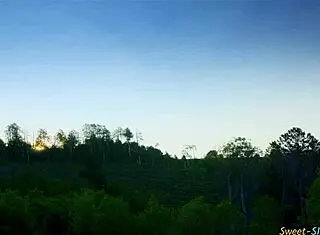 bigtits teen 18+ gets wildly fucked outdoors in missionary position