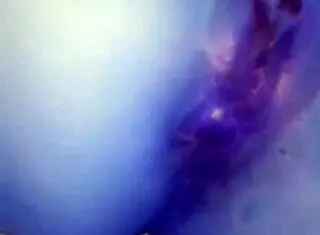 Throwback To June 2016 Featuring Striptease, Exhibitionism, And Masturbation In Lingerie