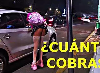 Transsexual In Miniskirt Flashes In Public Outdoor Setting