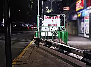 Transsexual In Miniskirt Flashes In Public Outdoor Setting