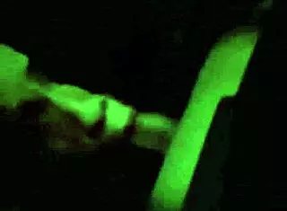 Sucking neighbor's cock at pool