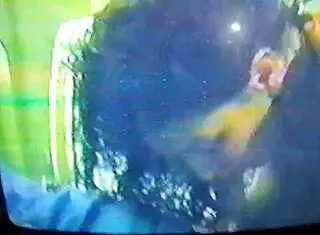 My Wife Is A Blowjob Goddess With Huge Tits