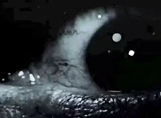 Retro Antique Chocolate Ginger Interracial Taboo