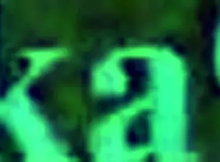 nekomata okayu and pekora have intense sex in hentai