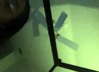 Huge Tits And Ass Displayed In Mov File