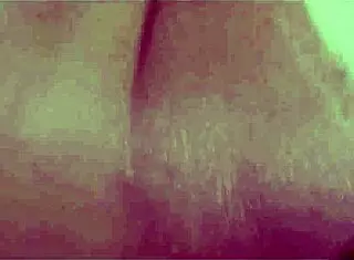 I love vivi guedez oficial's anal twerking