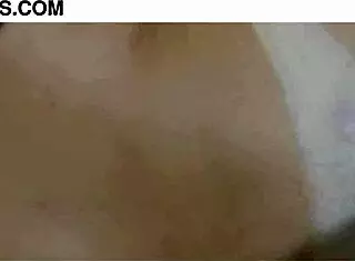 I love vivi guedez oficial's anal twerking