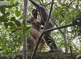 Taking Advantage Of Humility In The Forest!