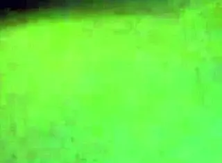 Ebony Harley tempts with her sexy curves riding big black cock before bending over for doggystyle