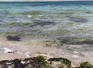 masturbating right on the beach under the sun 😎