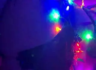 She rides in reverse cowgirl with monster cock.